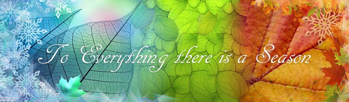 There Is A Right Time For Everything