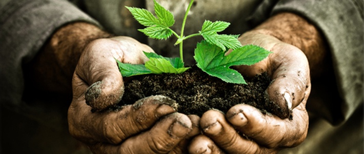 NAUPANGTE ETTON TAAK HI IN