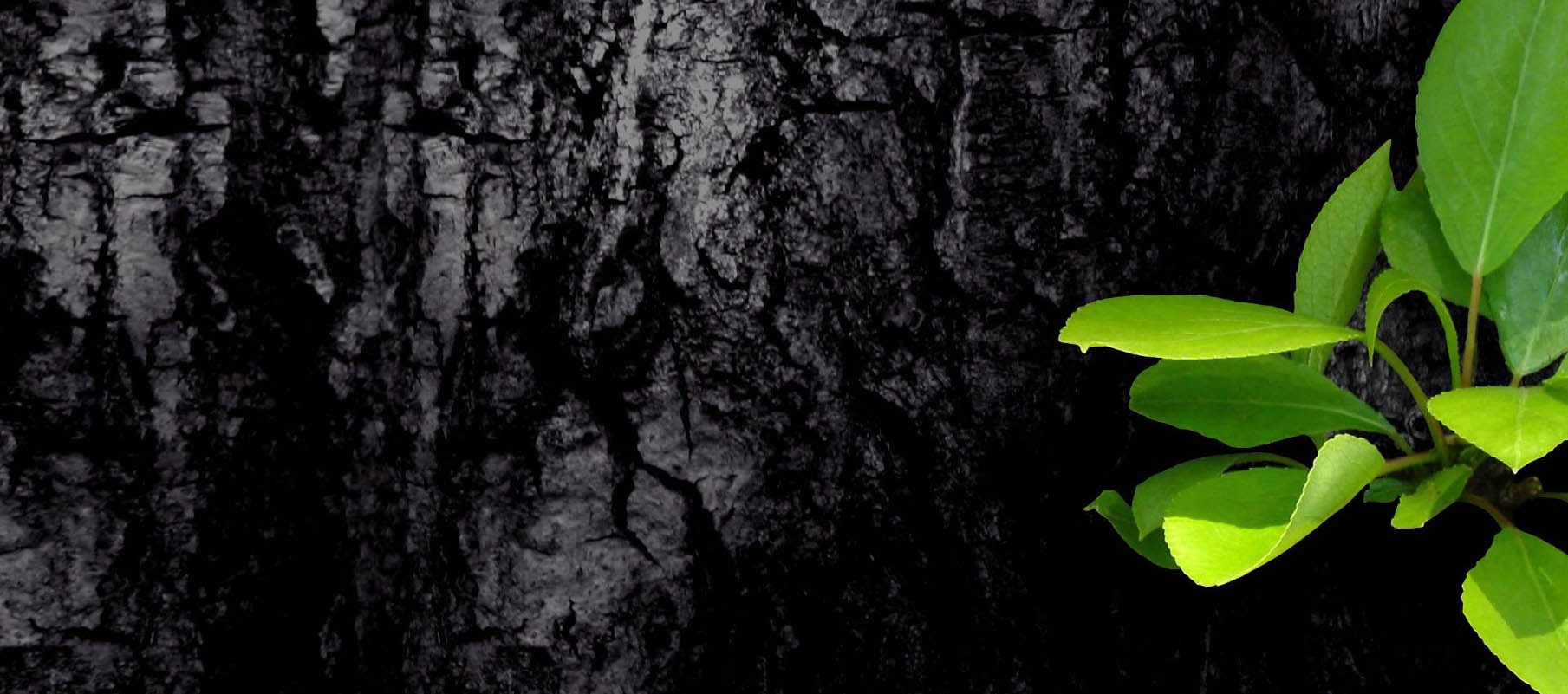 Lametna Dik Tuh Jesu Kia Ahi