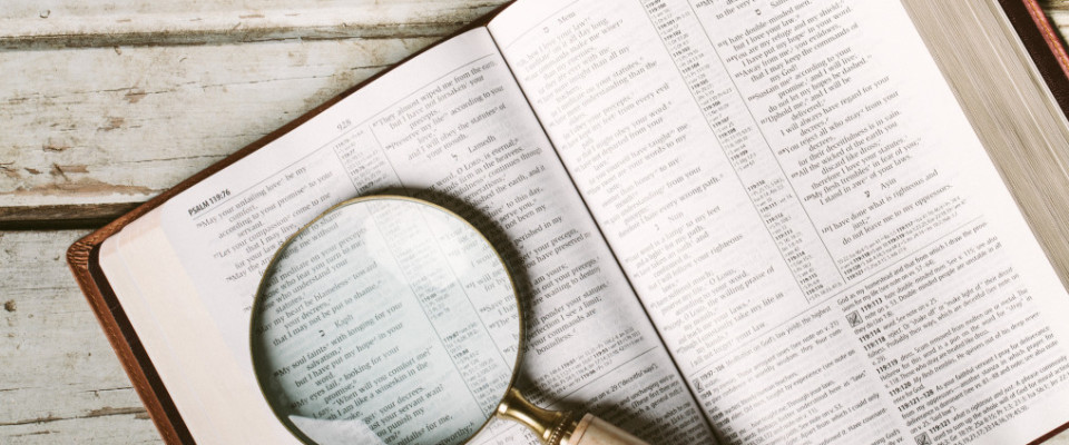 HOTDAM A OM KA HI: HIMAHLEH KHATVEIVEI GINGLEL KA HI