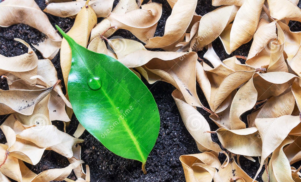 TOUPA’N A ITTE A THUNUN ZAW NAK