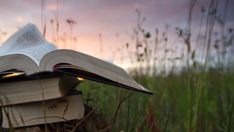 Bible-field-FI-shutterstock Bible-field-FI-shutterstock Bible-field-FI-shutterstock Bible-field-FI-shutterstock tupmawng a pathian adia khosakna TUPMAWNG A PATHIAN ADIA KHOSAKNA Bible field FI shutterstock Home New Bible field FI shutterstock